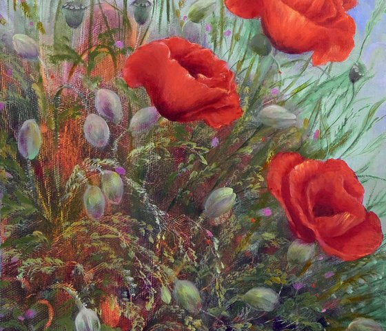 Poppies in the Wind