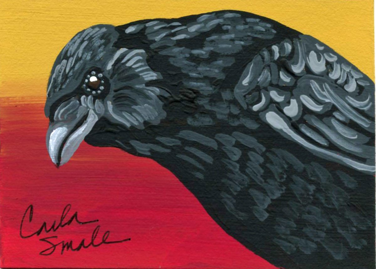 Crow Raven by Carla Smale