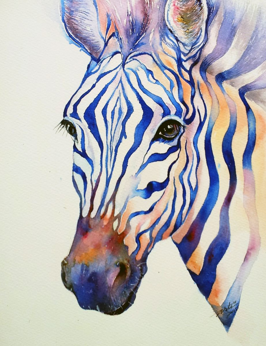 Intense Zebra Watercolour By Arti Chauhan Artfinder