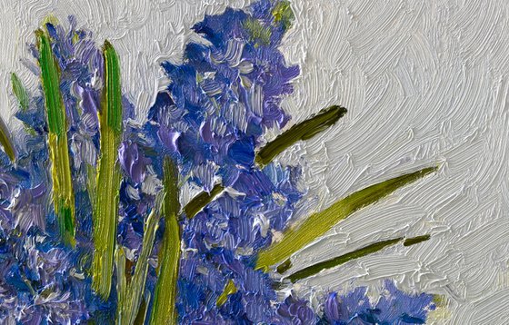 Hyacinth Flowers