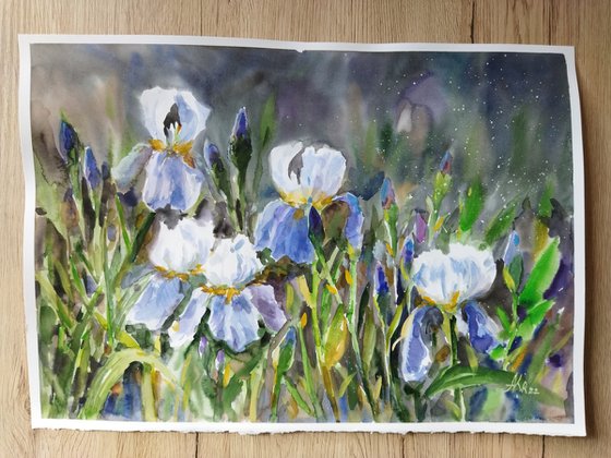 Twilight Irises