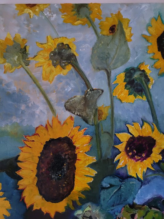 Still summer! Sunflowers.