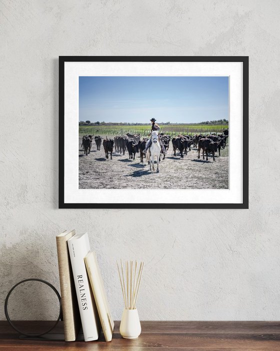 CAMARGUE LIFE