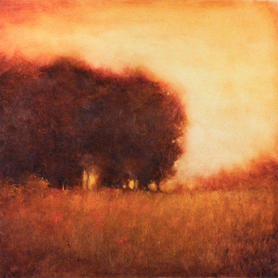 Oak Tree Sunset, 12x12 inches
