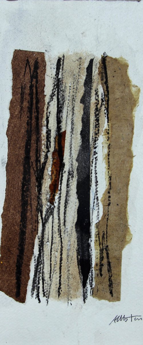 Bark by Assumpció Mateu