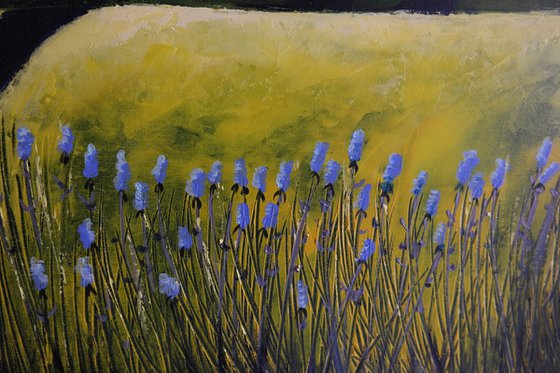 The Canolas and Blue Flowers- Fields and Colors Series