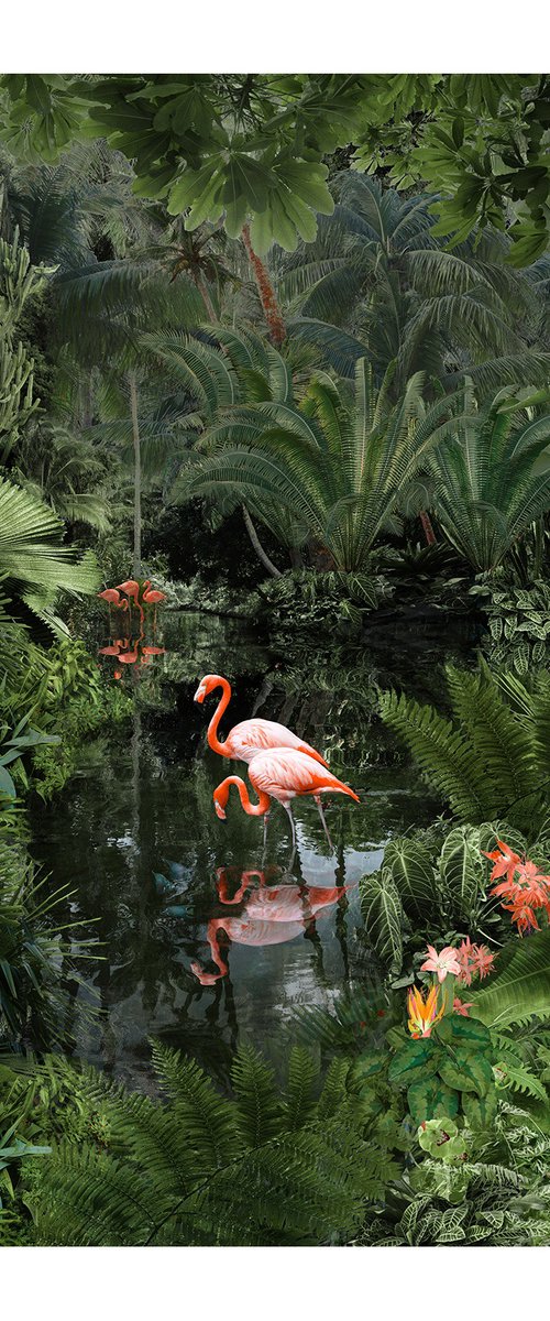 Backwaters Pool by Nadia Attura