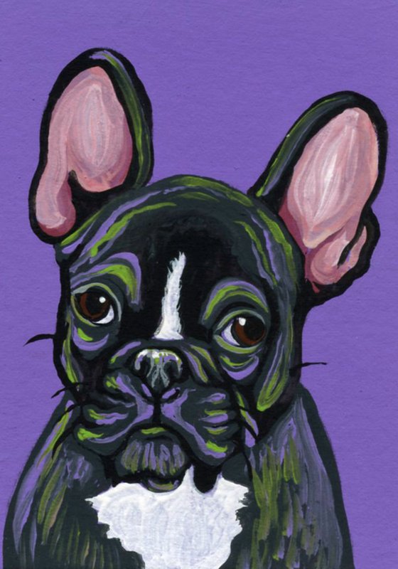 ACEO ATC Original Miniature Painting  French Bulldog Pet Dog Art-Carla Smale