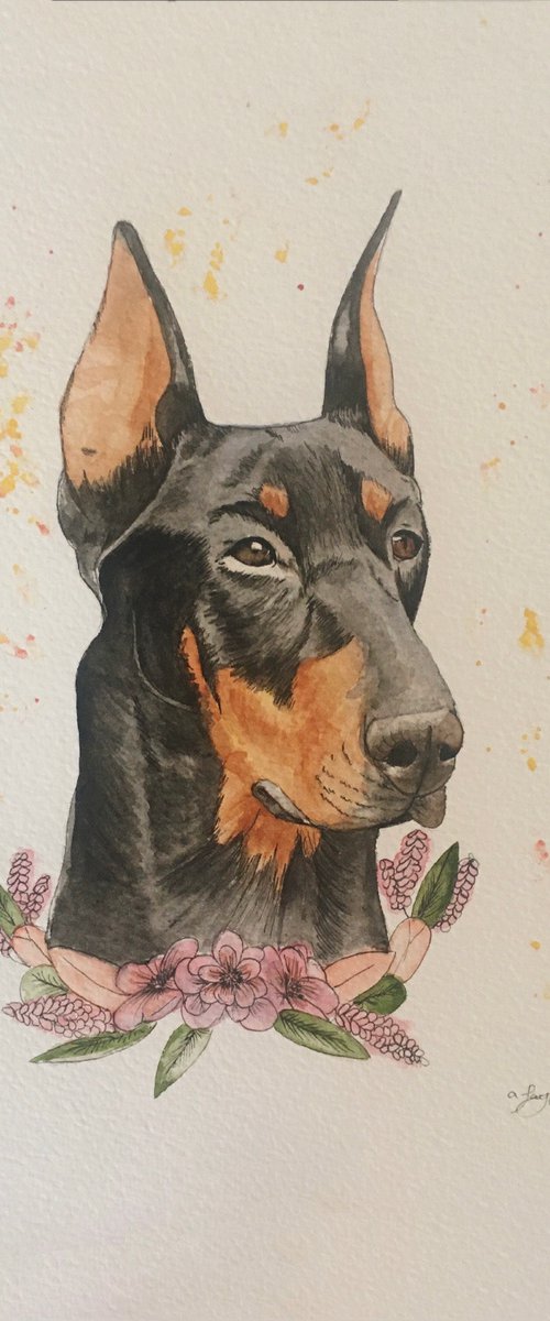 Doberman painting by Amelia Taylor