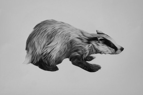 Badger by Clive Riggs