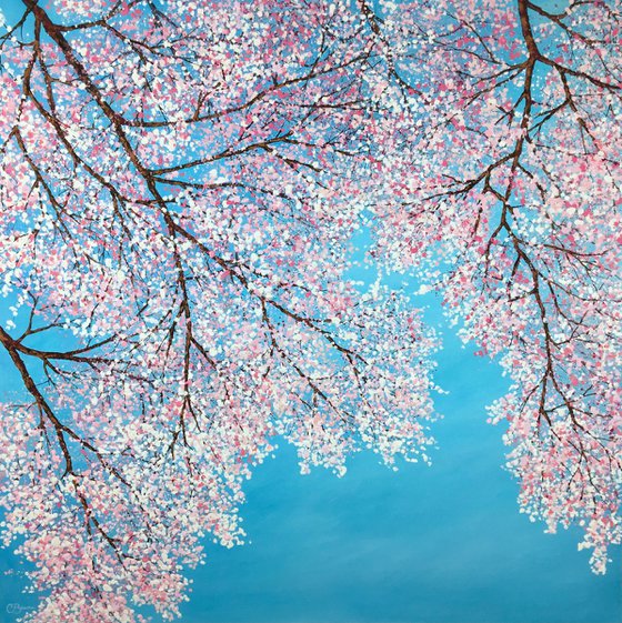 Cherry Blossom Cascading