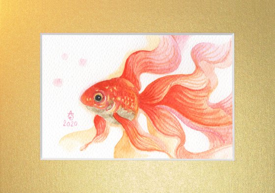 Goldfish 3