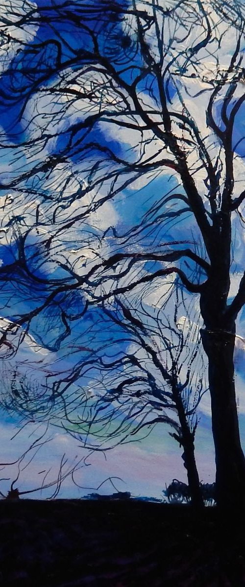 The Nerves Of A Tree, Fife, Scotland by Stephen Howard Harrison