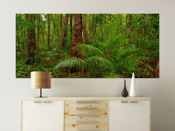 Daintree