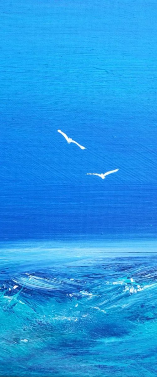 Soul Birds 1, cornwall, seascape, birds, gorgeous by Mel Graham