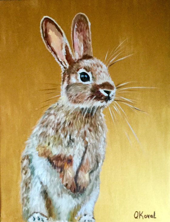 Honey bunny 5