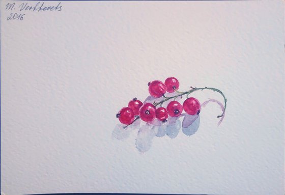 Red currant