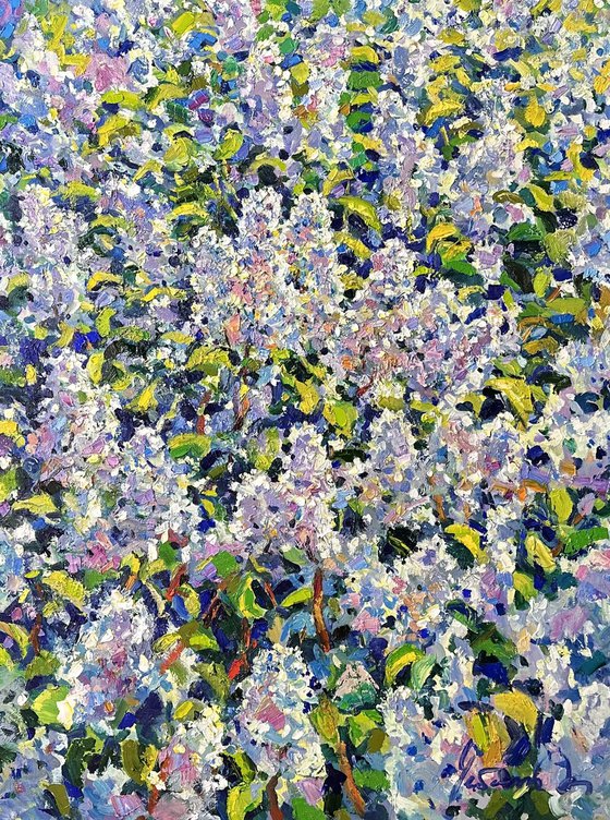 “Lilac”