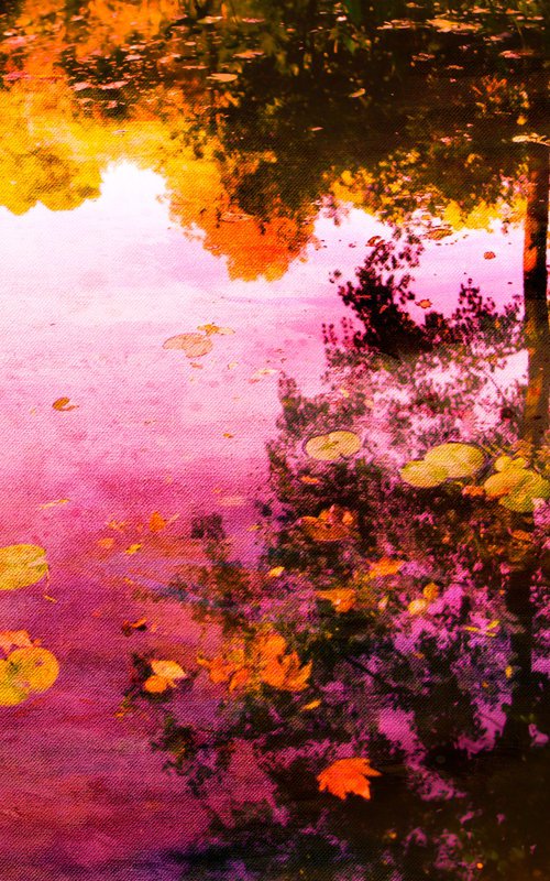 The breath of autumn III by Viet Ha Tran