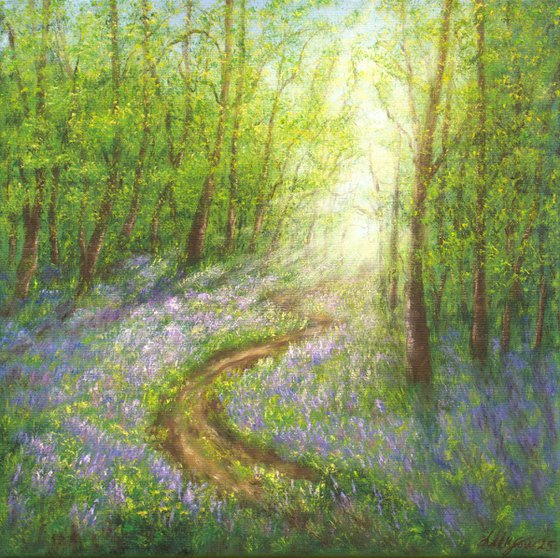 Bluebell forest