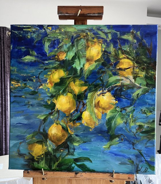 CITRONS DE LA MEDITERANNEE