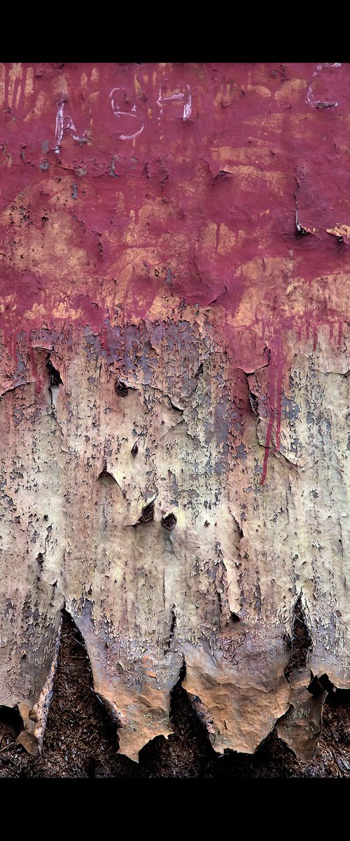 Wall 8 by Maciej Jabkowski