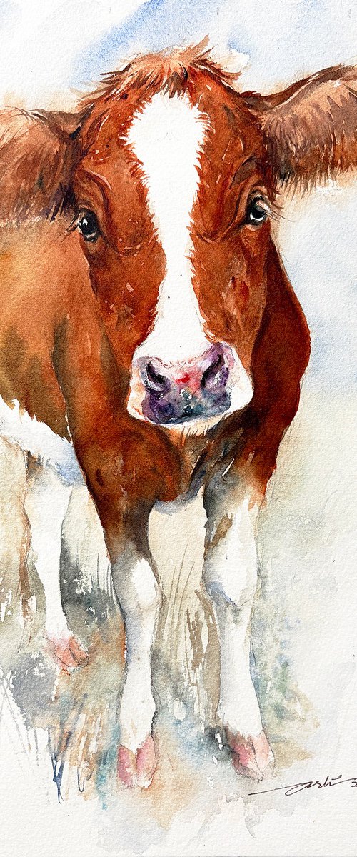 Cow_Hello, Human! by Arti Chauhan