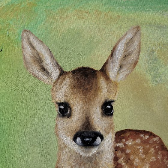 Young Fawn
