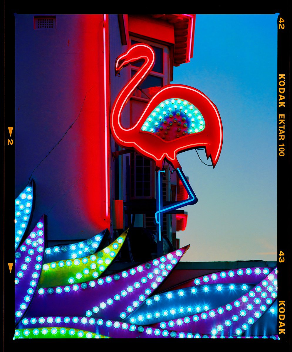 Urban And Pop Cityscapes Photograph By Richard Heeps, 29 X 35", Neon Flamingo, Norfolk, Original Artwork