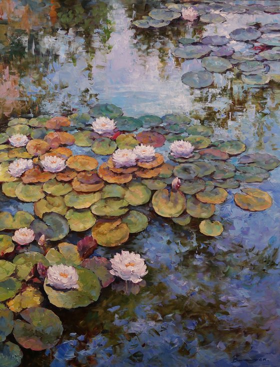 "Water Lily Symphony"