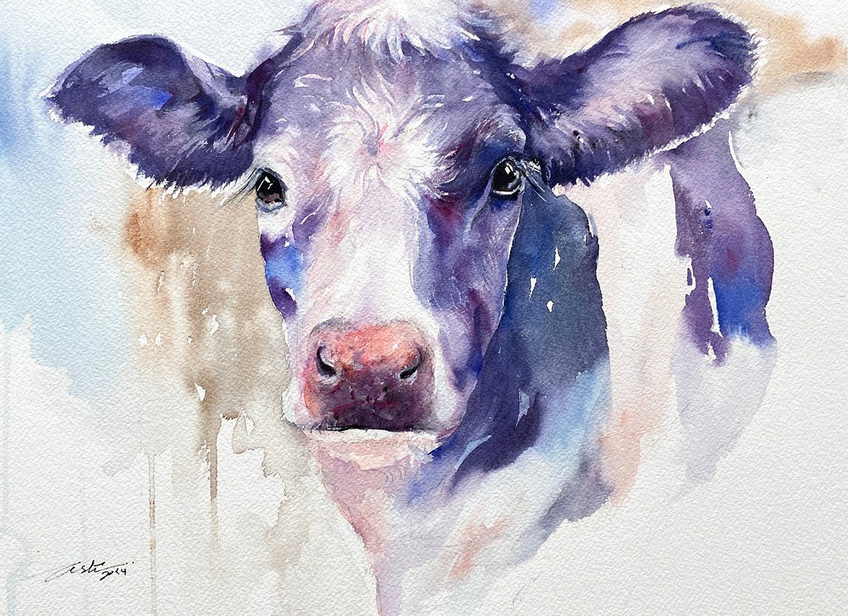 Photorealistic Animal Watercolour By Arti Chauhan, 17 X 13, Lapizo The Cow, Original Artwork