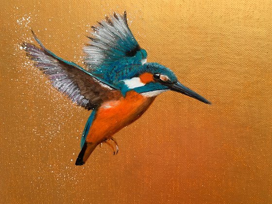 Flight Of The Kingfisher IV