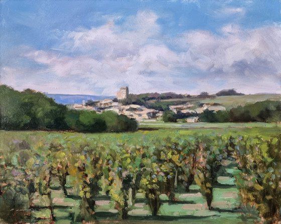 Vineyards at Châteauneuf-du-Pape