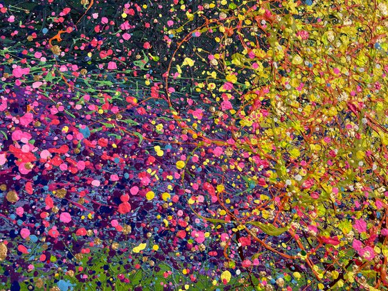 Fragments of Unseen Happiness