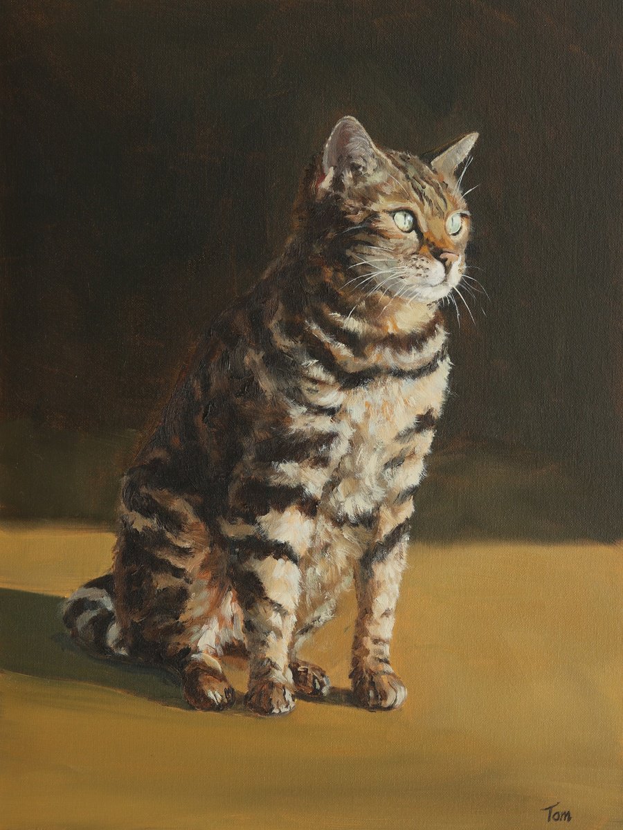 Animal Oil Painting By Tom Clay, 12 X 16", Bengal Cat, Original Artwork