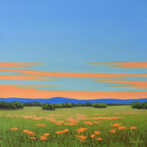 Orange Poppies - Colorful Flower Field Landscape by Suzanne Vaughan