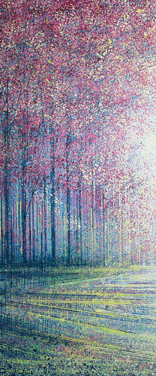 Spring Blossom Trees At Daybreak by Marc Todd