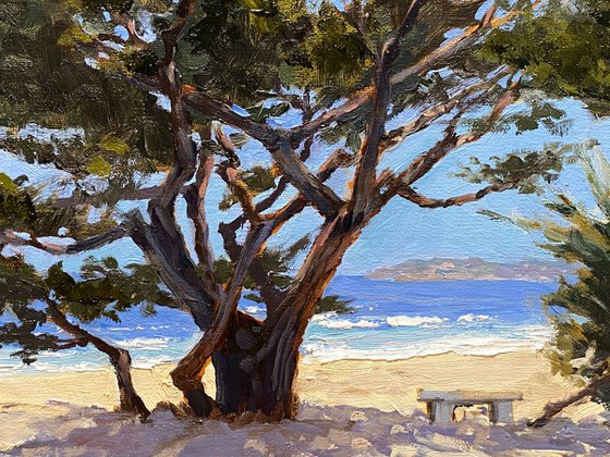 Scenic Crossing Carmel Beach