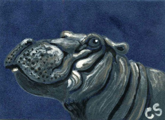 ACEO ATC Original Suede Painting Hippopotamus Wildlife Art-Carla Smale