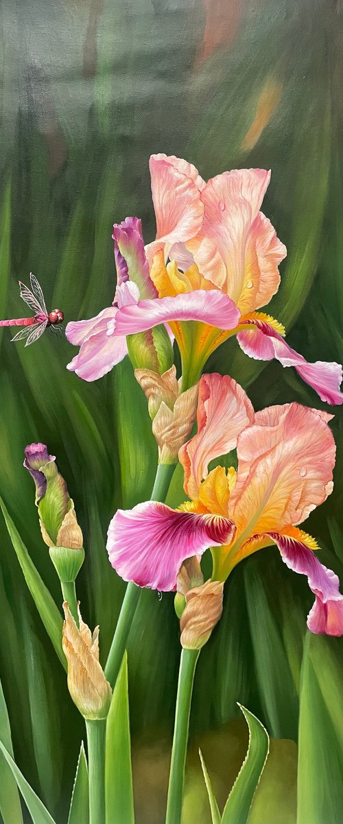Beautiful flowers t264 by Kunlong Wang