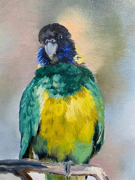 indian parrot painting