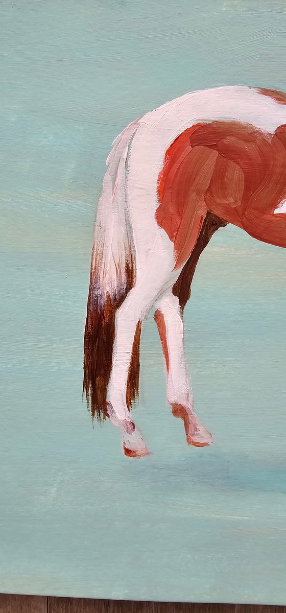 Pinto horse on aqua blue
