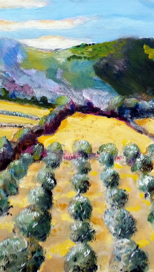 Morning Olives by Chris Walker
