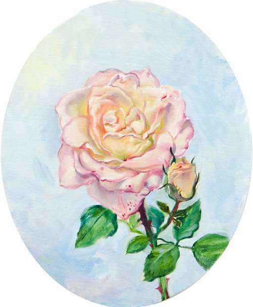 Rose in oval by Daria Galinski