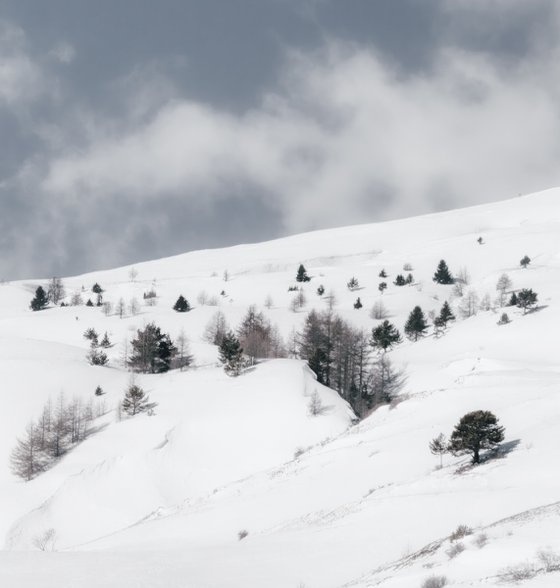 White Italian Scape #10