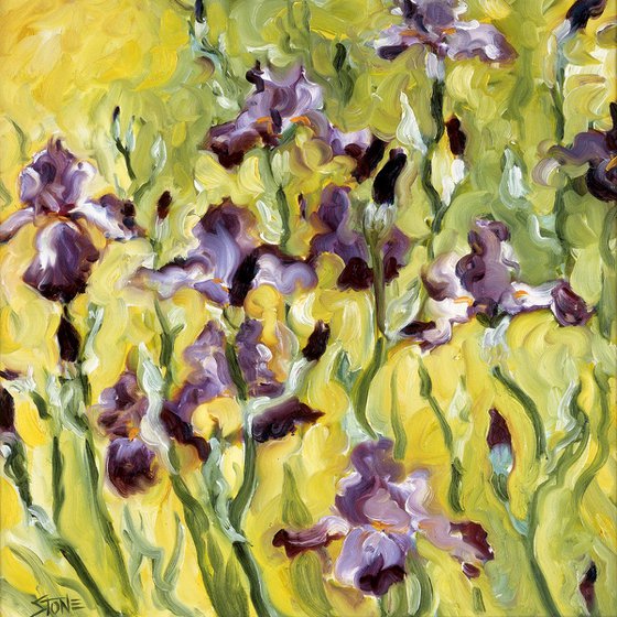 Dancing Iris
