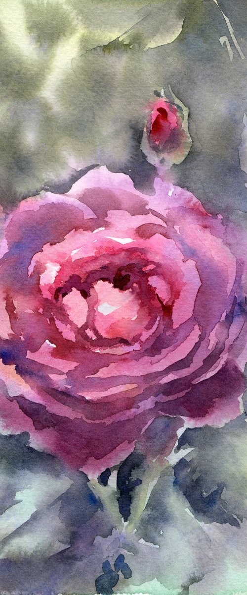 Purple Watercolor rose, flower from Summer garden by Yulia Evsyukova