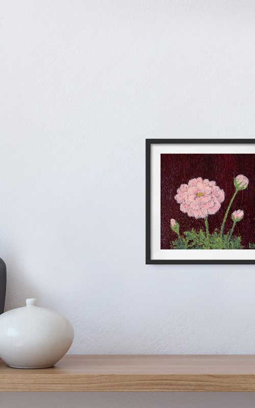 Ranunculus on burgundy by Rimma Savina