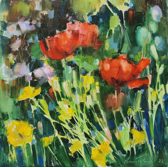 Red poppies