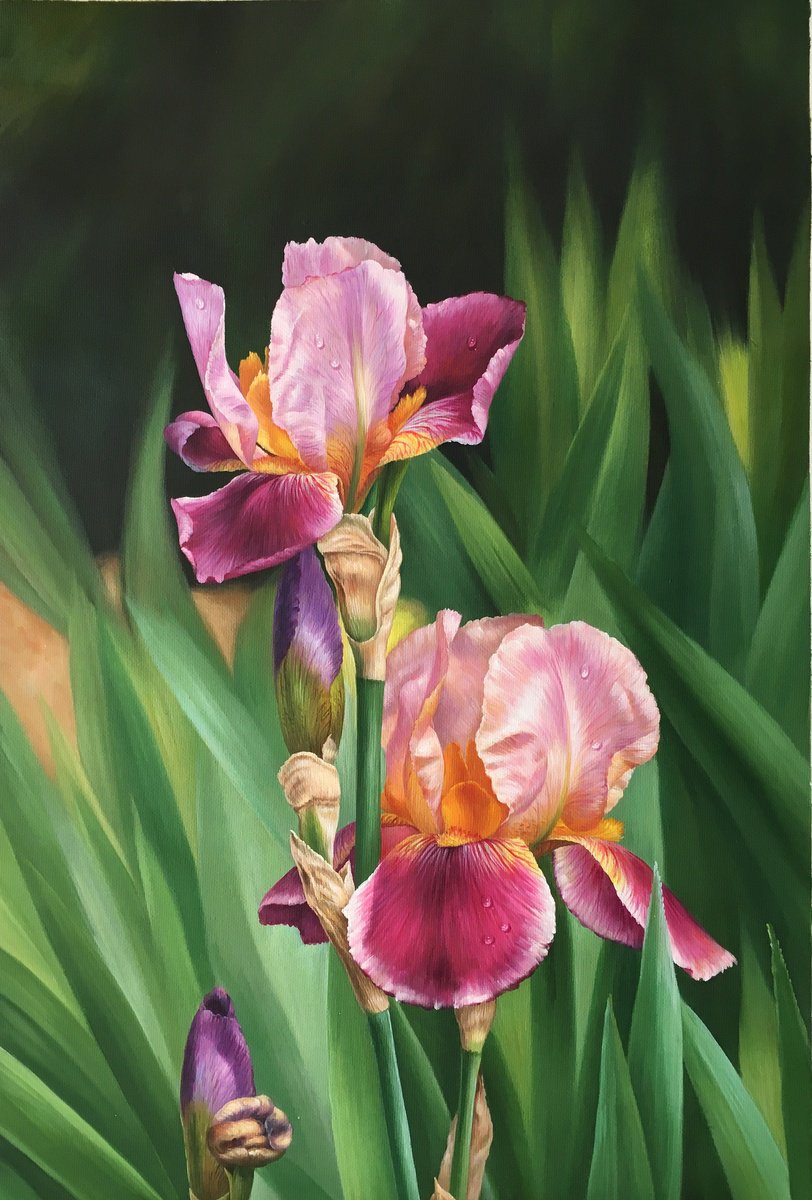 Realism oil painting:flowers t225 by Kunlong Wang